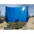 Freightliner CASCADIA Hood thumbnail 6