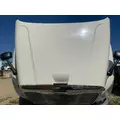 Freightliner CASCADIA Hood thumbnail 6