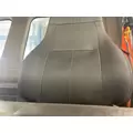 Freightliner CASCADIA Seat (non-Suspension) thumbnail 3