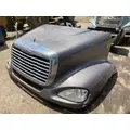 Freightliner COLUMBIA 112 Hood thumbnail 16