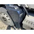 Freightliner COLUMBIA 120 Fender thumbnail 3