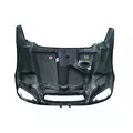 Freightliner COLUMBIA 120 Hood thumbnail 14