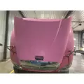 Freightliner COLUMBIA 120 Hood thumbnail 11