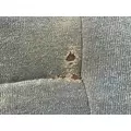 Freightliner COLUMBIA 120 Seat (non-Suspension) thumbnail 3