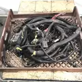 Freightliner Cascadia 113 Body Wiring Harness thumbnail 1