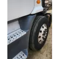 Freightliner Cascadia 113 Fender Extension thumbnail 1