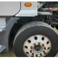 Freightliner Cascadia 113 Fender Extension thumbnail 2