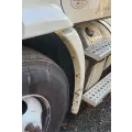 Freightliner Cascadia 113 Fender Extension thumbnail 3