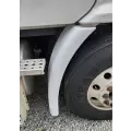 Freightliner Cascadia 113 Fender Extension thumbnail 2