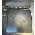 Freightliner Cascadia 113 Fender thumbnail 1