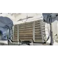 Freightliner Cascadia 113 Hood thumbnail 7