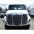 USED Hood FREIGHTLINER CASCADIA 113 for sale thumbnail