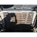 USED - C Hood FREIGHTLINER CASCADIA 113 for sale thumbnail