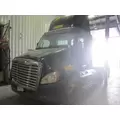 USED Hood FREIGHTLINER CASCADIA 113 for sale thumbnail