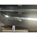 Freightliner Cascadia 113 Hood thumbnail 7