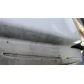 Freightliner Cascadia 113 Hood thumbnail 10