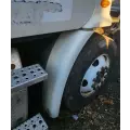 Freightliner Cascadia 113 Inner Fender thumbnail 1