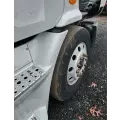 Freightliner Cascadia 113 Inner Fender thumbnail 1