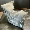 Freightliner Cascadia 113 Inner Fender thumbnail 2