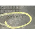 Freightliner Cascadia 113 Inner Fender thumbnail 5