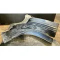 Freightliner Cascadia 113 Inner Fender thumbnail 1
