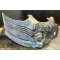 Freightliner Cascadia 113 Inner Fender thumbnail 2