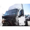 USED - CAB SHELL - A Cab FREIGHTLINER CASCADIA 116 for sale thumbnail