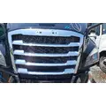 USED - A Grille FREIGHTLINER CASCADIA 116 for sale thumbnail
