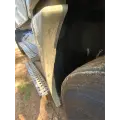 Freightliner Cascadia 125 Fender Extension thumbnail 4