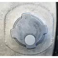 Freightliner Cascadia 125 Fuel Tank thumbnail 5