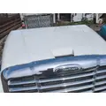 Freightliner Cascadia 125 Hood thumbnail 4