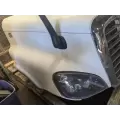 Freightliner Cascadia 125 Hood thumbnail 6