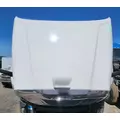 Freightliner Cascadia 125 Hood thumbnail 4