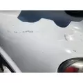 Freightliner Cascadia 125 Hood thumbnail 7