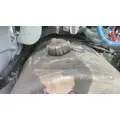 USED - W/STRAPS, BRACKETS - A Fuel Tank FREIGHTLINER CASCADIA 126 for sale thumbnail