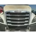Freightliner Cascadia 126 Grille thumbnail 1