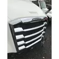 Freightliner Cascadia 126 Grille thumbnail 1