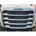 Freightliner Cascadia 126 Grille thumbnail 2
