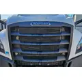 Freightliner Cascadia 126 Grille thumbnail 2