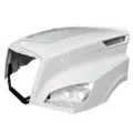 USED Hood FREIGHTLINER CASCADIA 126 for sale thumbnail