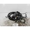 Used Engine Wiring Harness FREIGHTLINER CASCADIA for sale thumbnail
