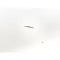 Freightliner FL70 Hood thumbnail 12