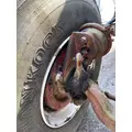 Freightliner FLC Axle Assy, Fr (4WD) thumbnail 3