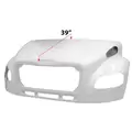 NEW Hood FREIGHTLINER M-2 106 for sale thumbnail