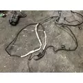 Freightliner M2 106 Cab Wiring Harness thumbnail 11