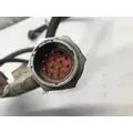 Fuller RTLO18918A-AS2 Transmission Wire Harness thumbnail 2