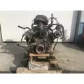 GM/CHEV (HD) 366 - CARB Engine Assembly thumbnail 2