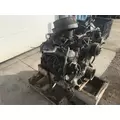 GM/CHEV (HD) 366 - CARB Engine Assembly thumbnail 13