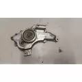 GM/CHEV (HD) 6.6L DURAMAX Oil Pump thumbnail 1