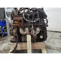 GM/CHEV (HD) 8.1G Engine Assembly thumbnail 2